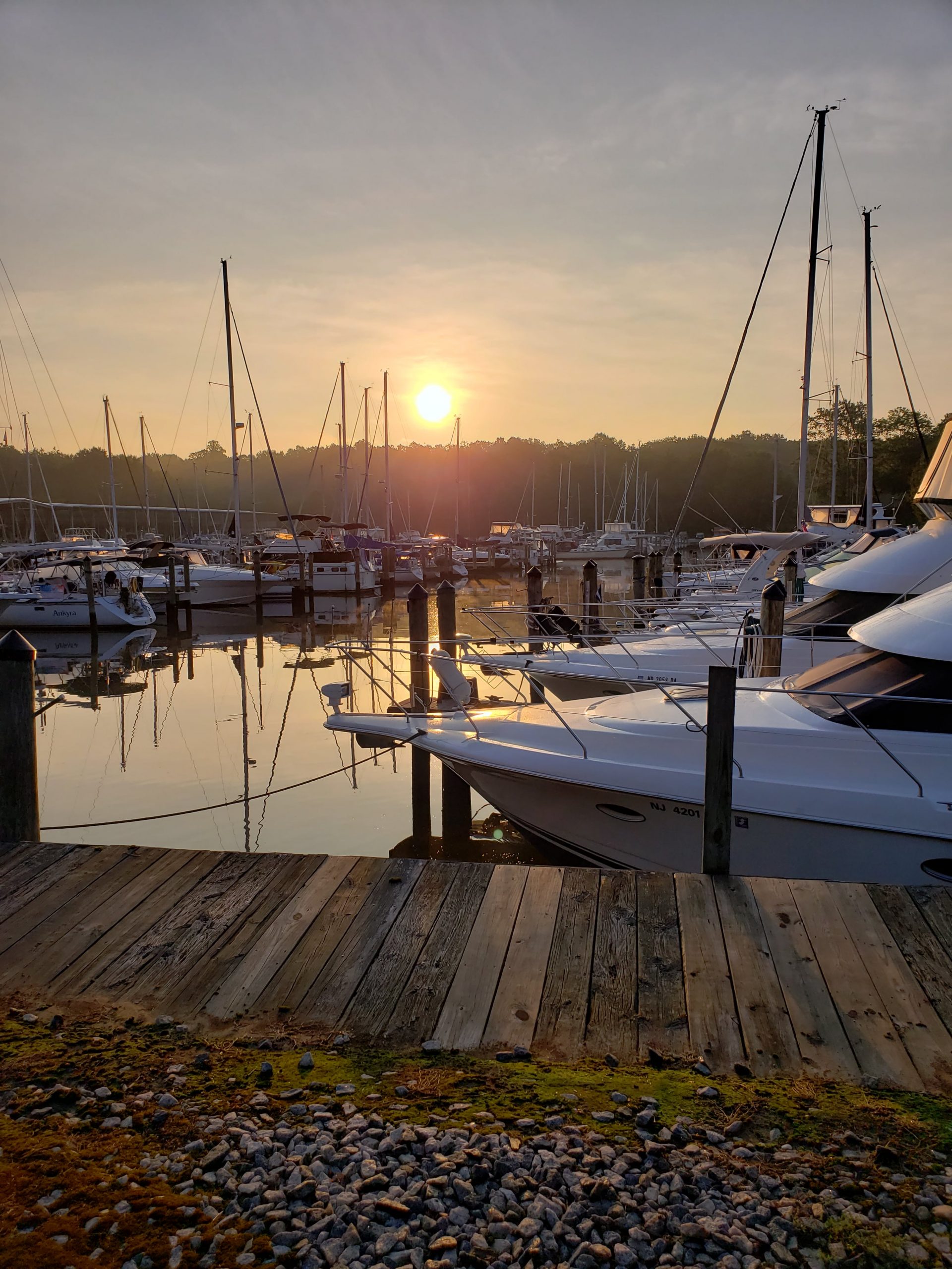Sunrise at Bohemia Bay Yacht Harbour