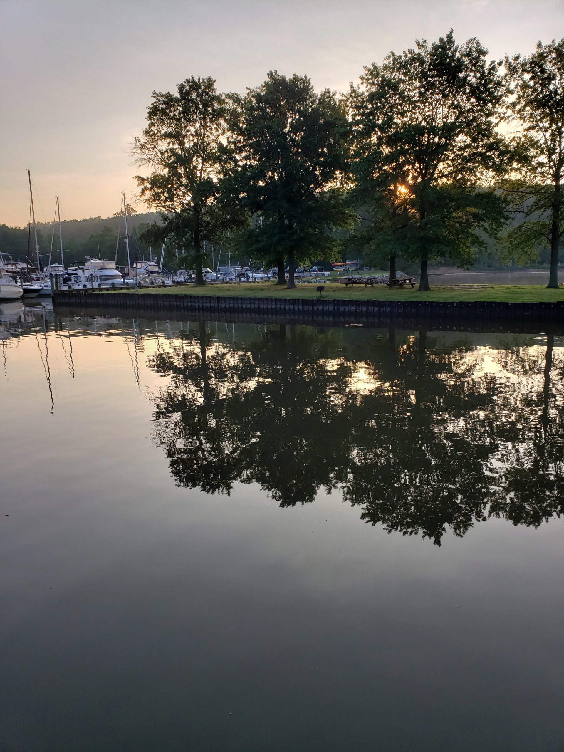 Trees reflected in water at entrance to BBYH