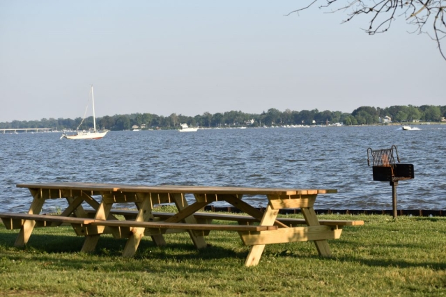 Picnic tables overlooking the Bohemia River