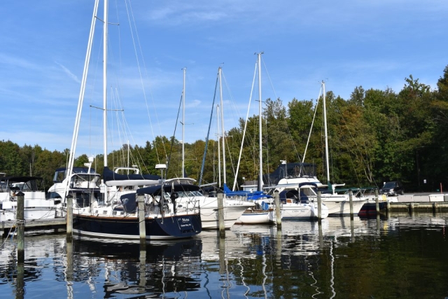 Sailboats in their slips