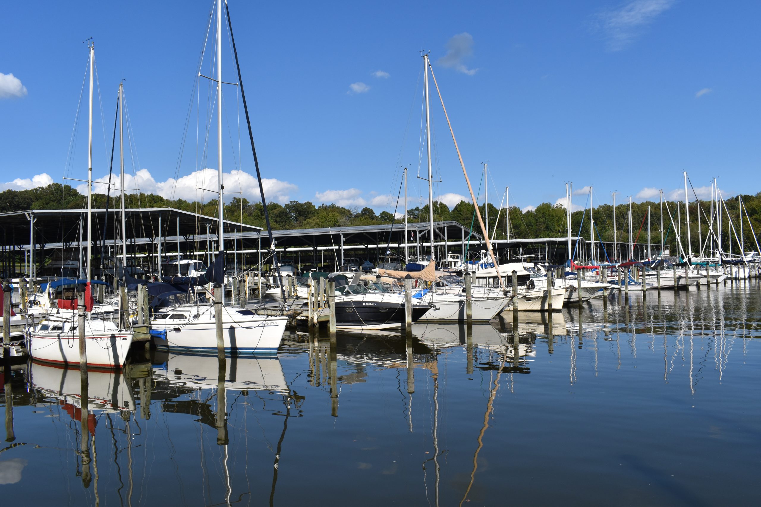Open Slips Within Our Unique Sheltered Basin
