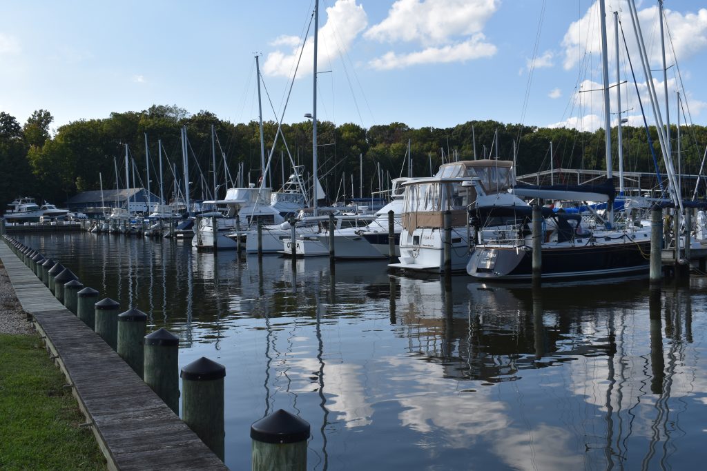 View of I Dock from the river side