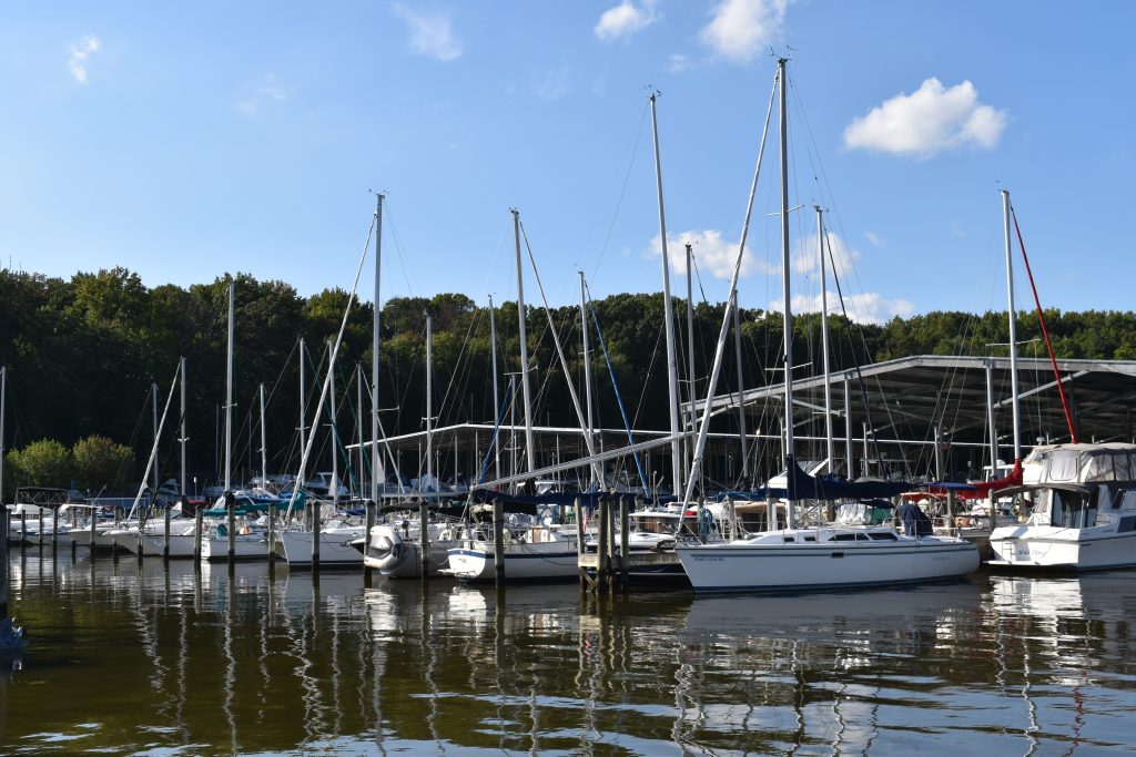 View of sailboats in their slips